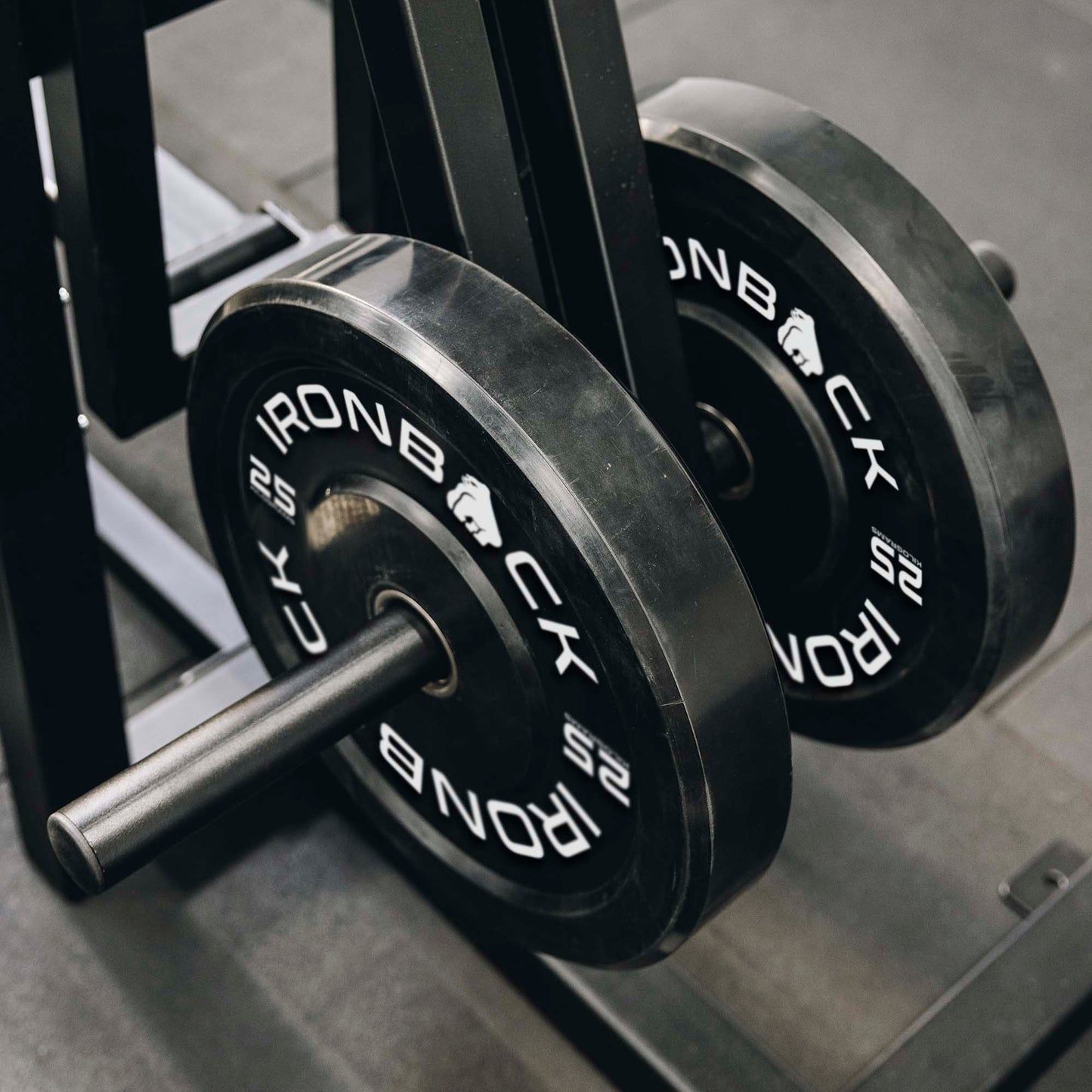 Ironback Rig